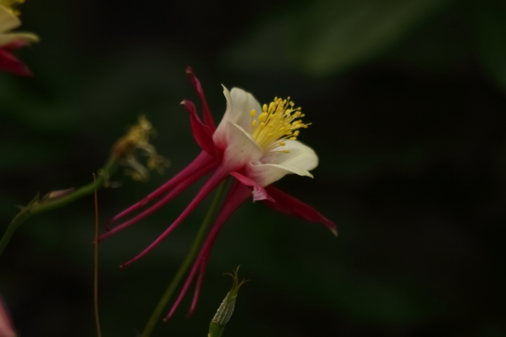 2013 06 09 IMG 09748